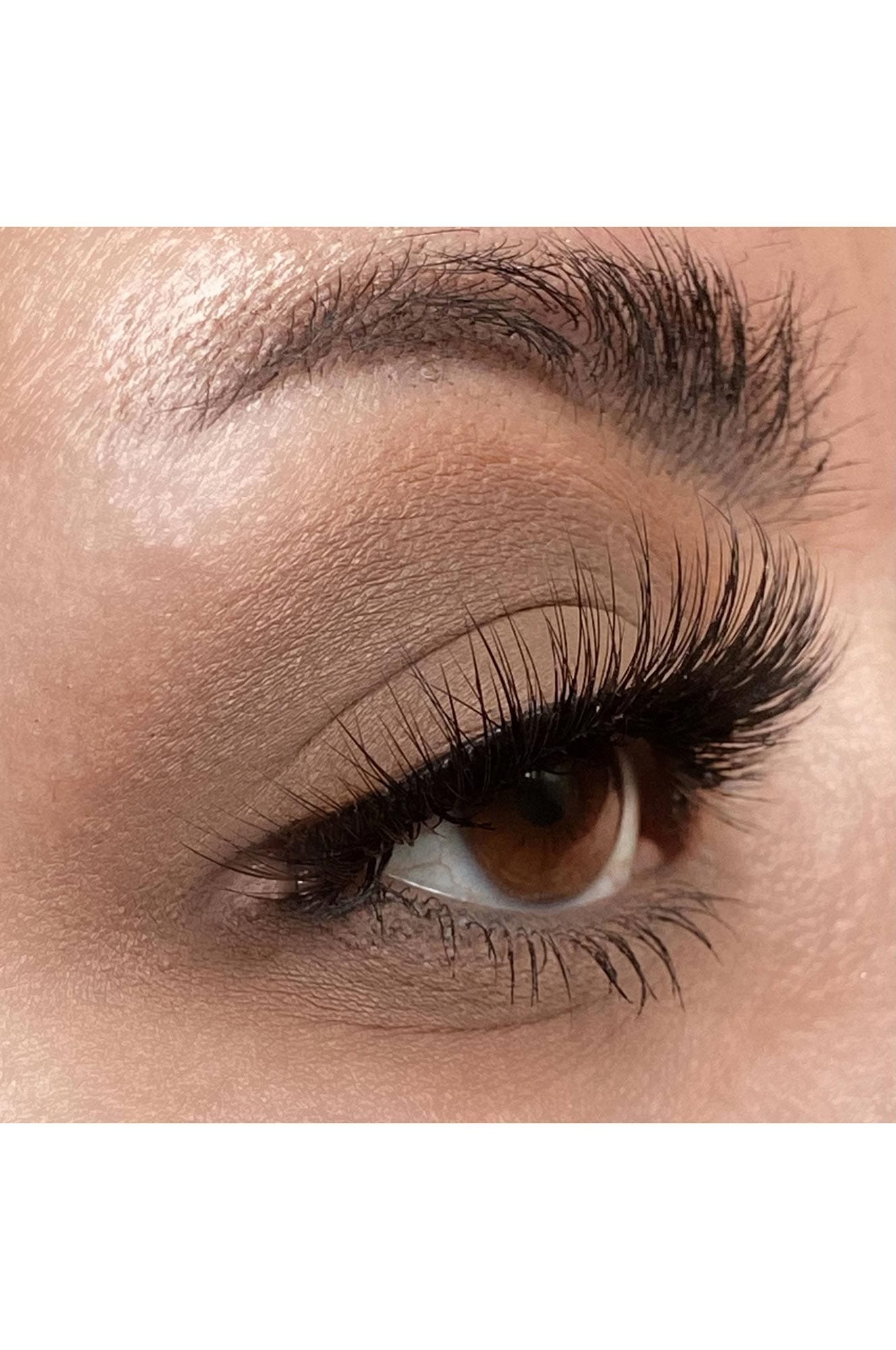 Space Dust Eyeshadow Eyes NOCTEX